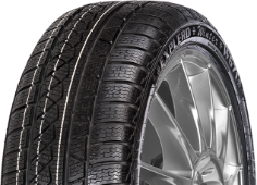 Petlas Explero Winter W671