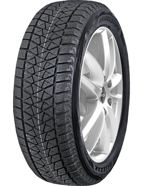 Bridgestone Blizzak DM-V2