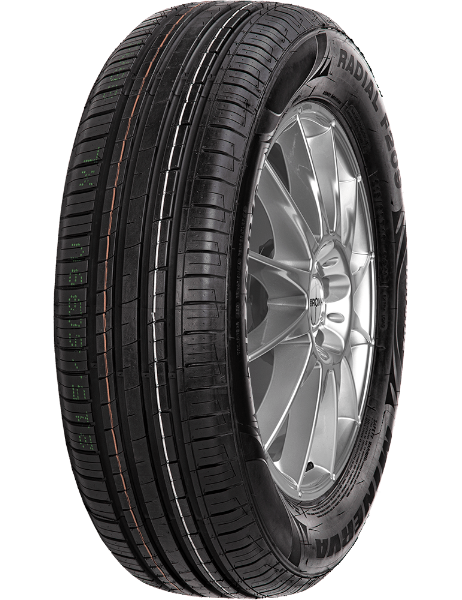 Minerva F209 205/60 R16 92 H