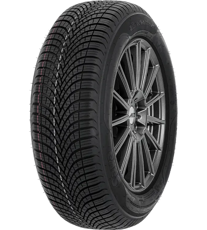 Sava All Weather 225/55 R17 101 W XL