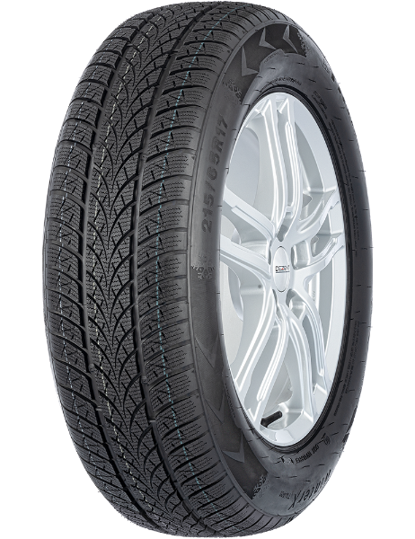 Triangle Winter X TW401 215/65 R16 102 H XL