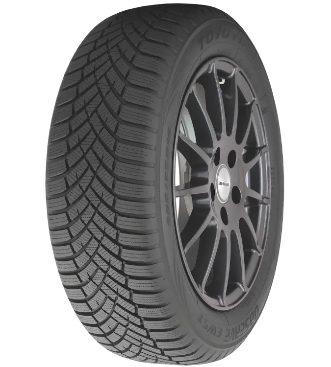 Toyo Observe EWS1 245/55 R17 106 V XL