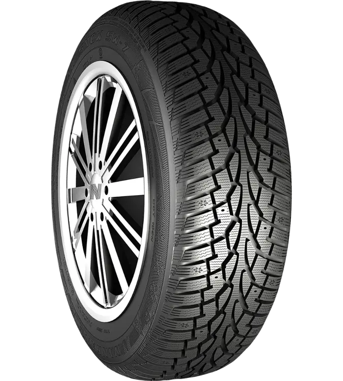 Nankang SW 7 265/65 R17 116 T XL
